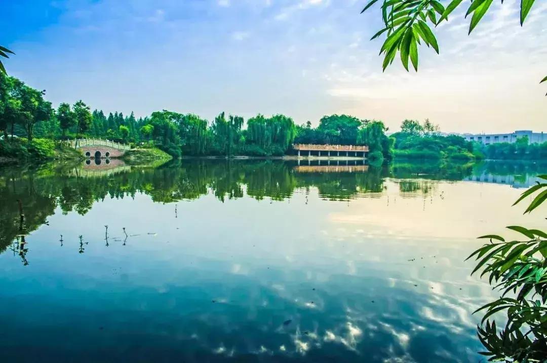 元旦去哪里玩视频,元旦适合去哪玩