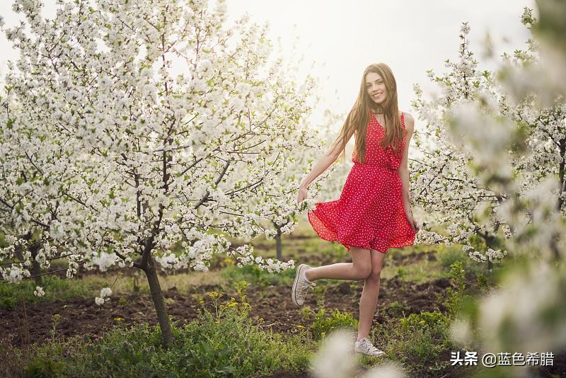 油菜花田人像照怎么拍才好看,花田拍照效果图