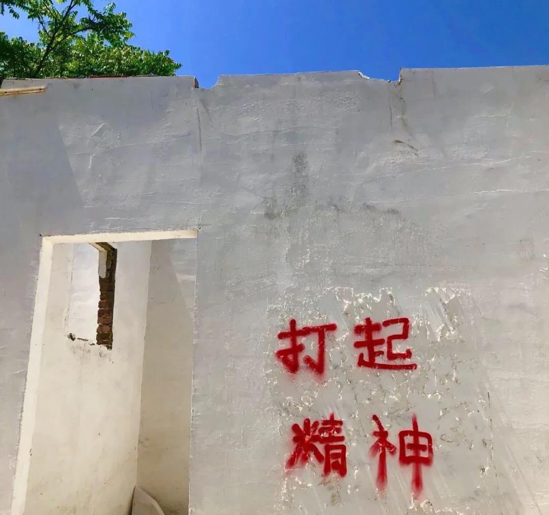 朴树戴狗头帽唱歌，在网易云看相信未来义演的你们，真见证历史了