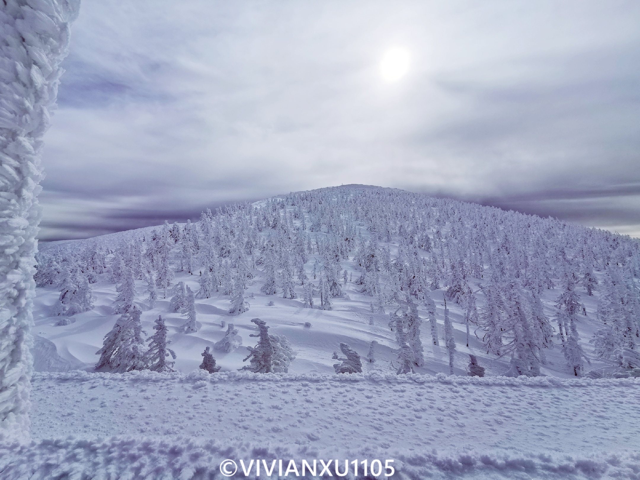 塑料母女日本东北深度游(秋田山形)