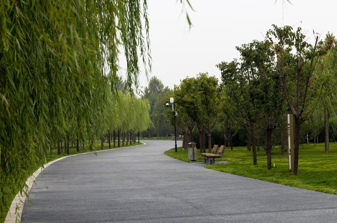 郑东新区象湖生态工程,郑东新区象湖南岸景观绿化工程