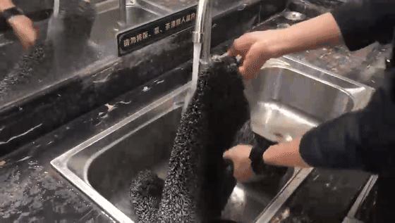 神奇的虎皮地毯,神奇宝贝的地毯