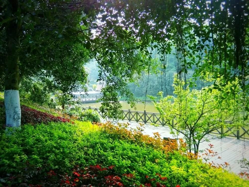 为家乡打call南通,为家乡打call重庆