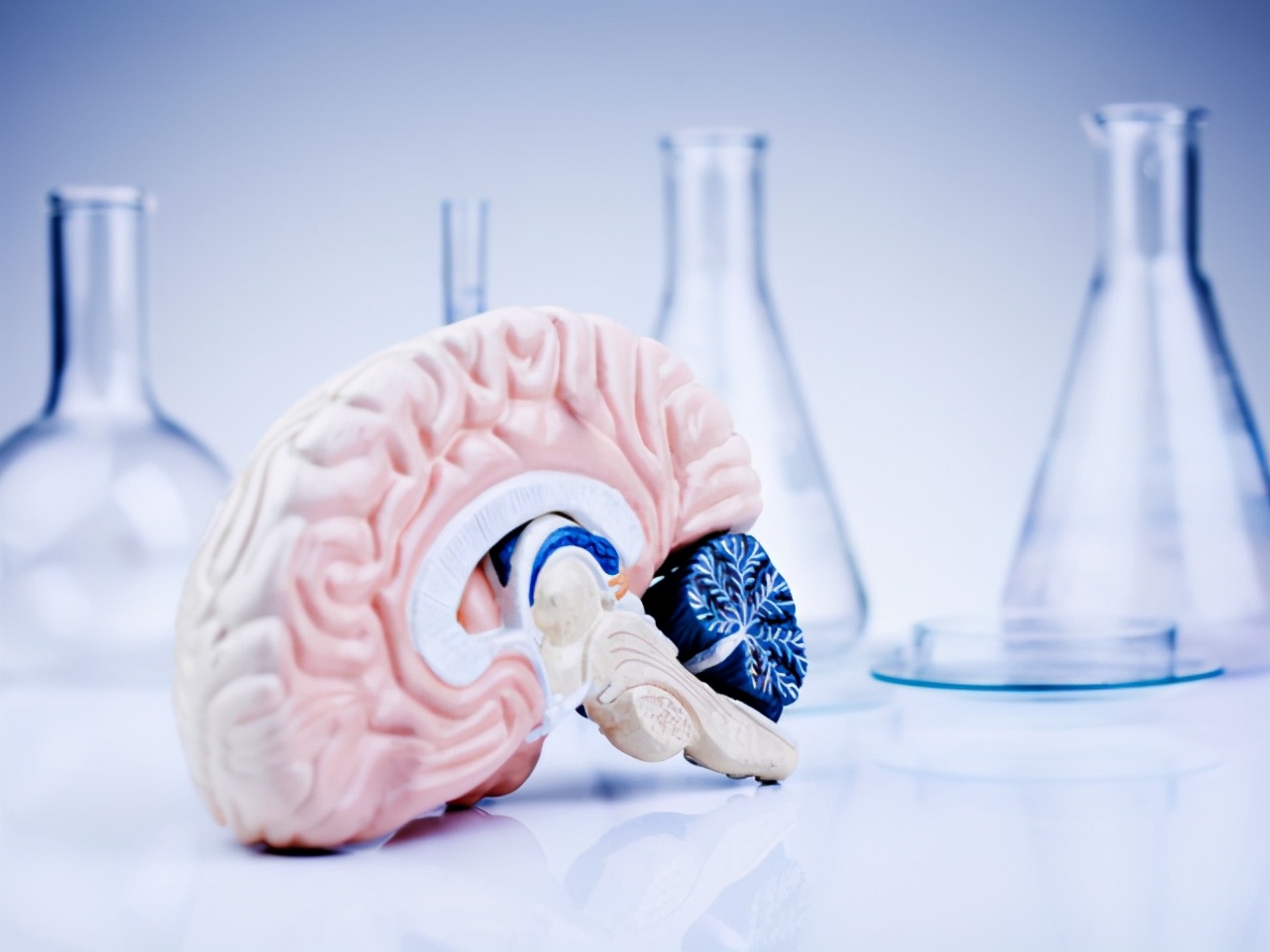 大脑失去一半会怎样,人类没有了大脑还能活吗