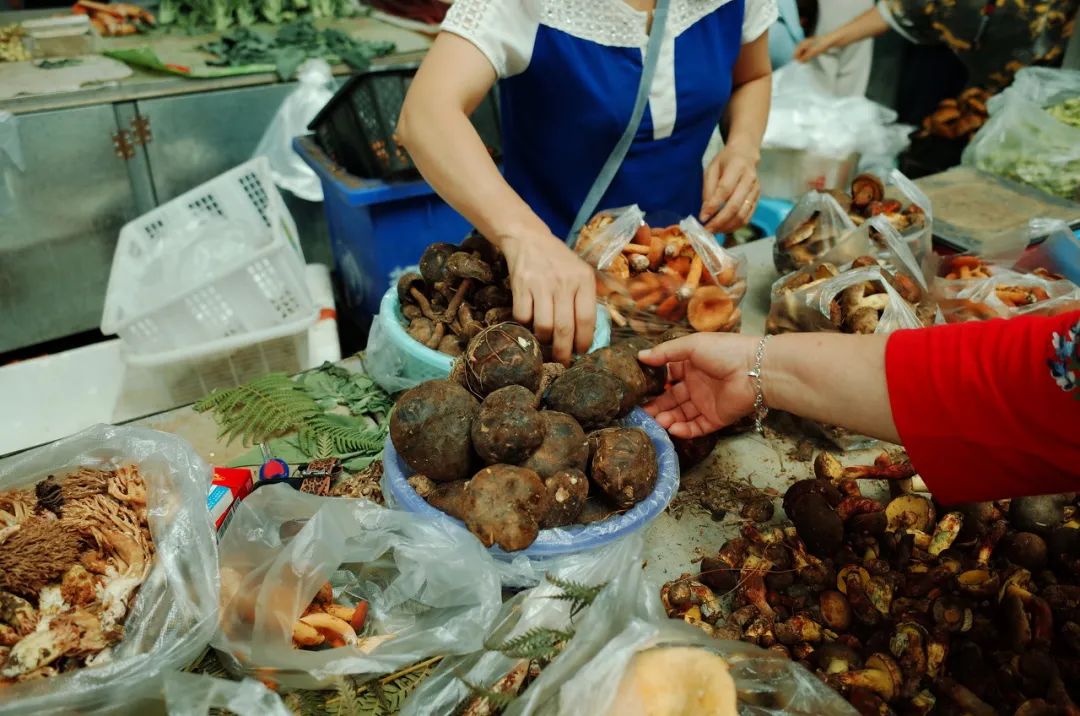 最新十大野生菌,野生菌陆续上市质优价稳