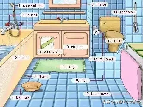 这36张图包含了中学英语所有生活用词,太全了,收藏起来