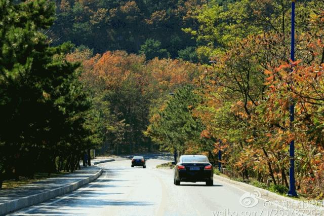 这些特大城市里，这个北方海边城市真的挺“大”