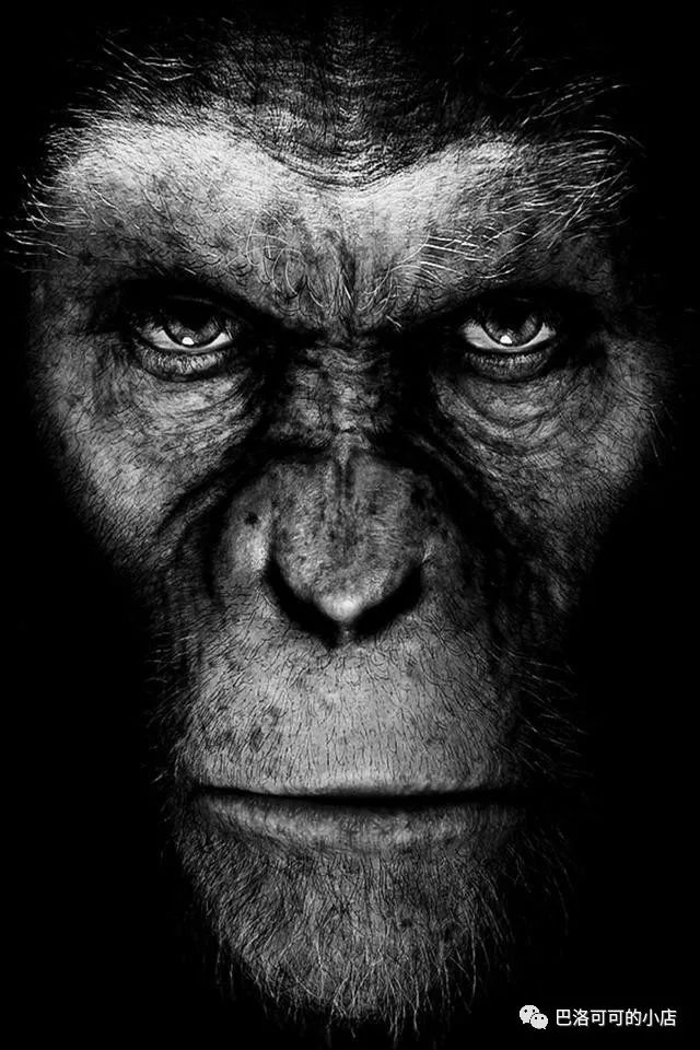 有哪些经典平民的潮牌,潮牌发展史