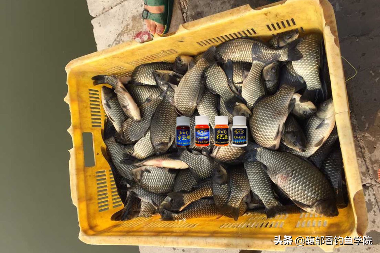 垂钓园如何经营和盈利的,开一个2亩垂钓园一般投资多少钱