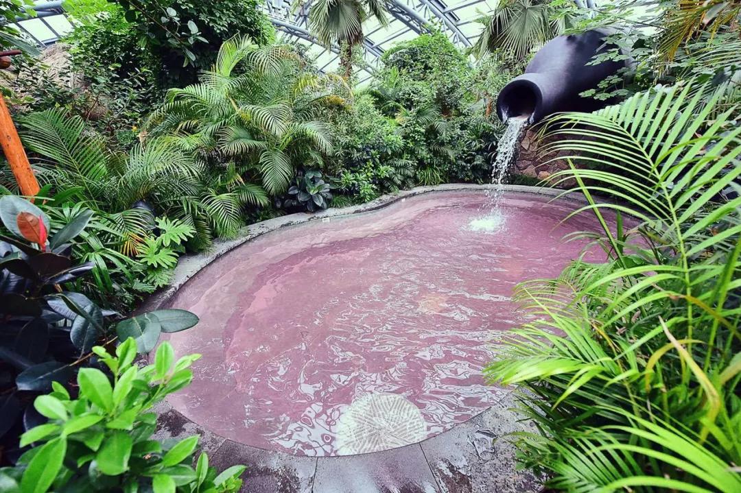 露天温泉小院精品,一房一厅庭院私家温泉