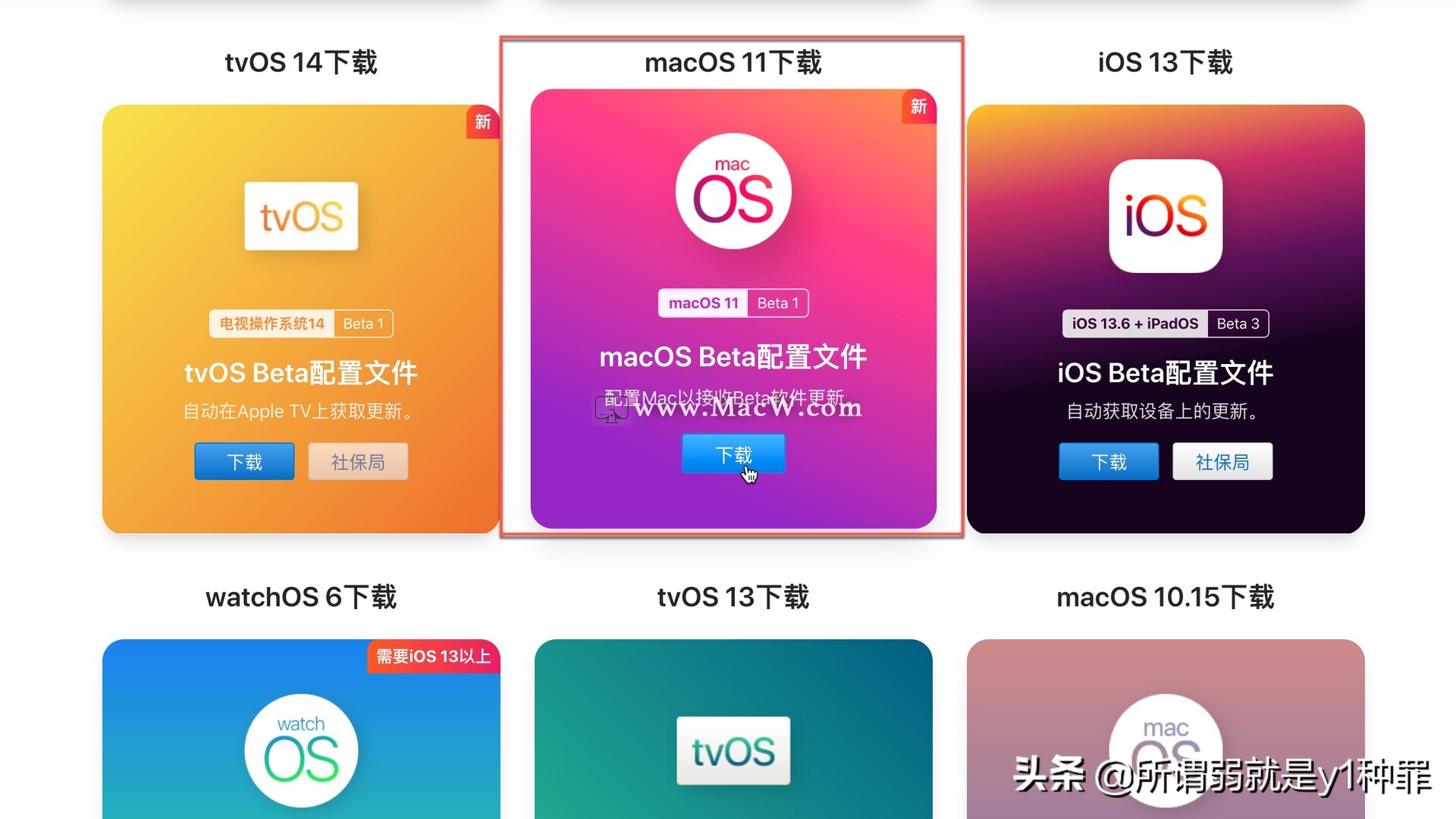 没有开发者账户如何*载下**macOSBigSurBeta1以及安装教程