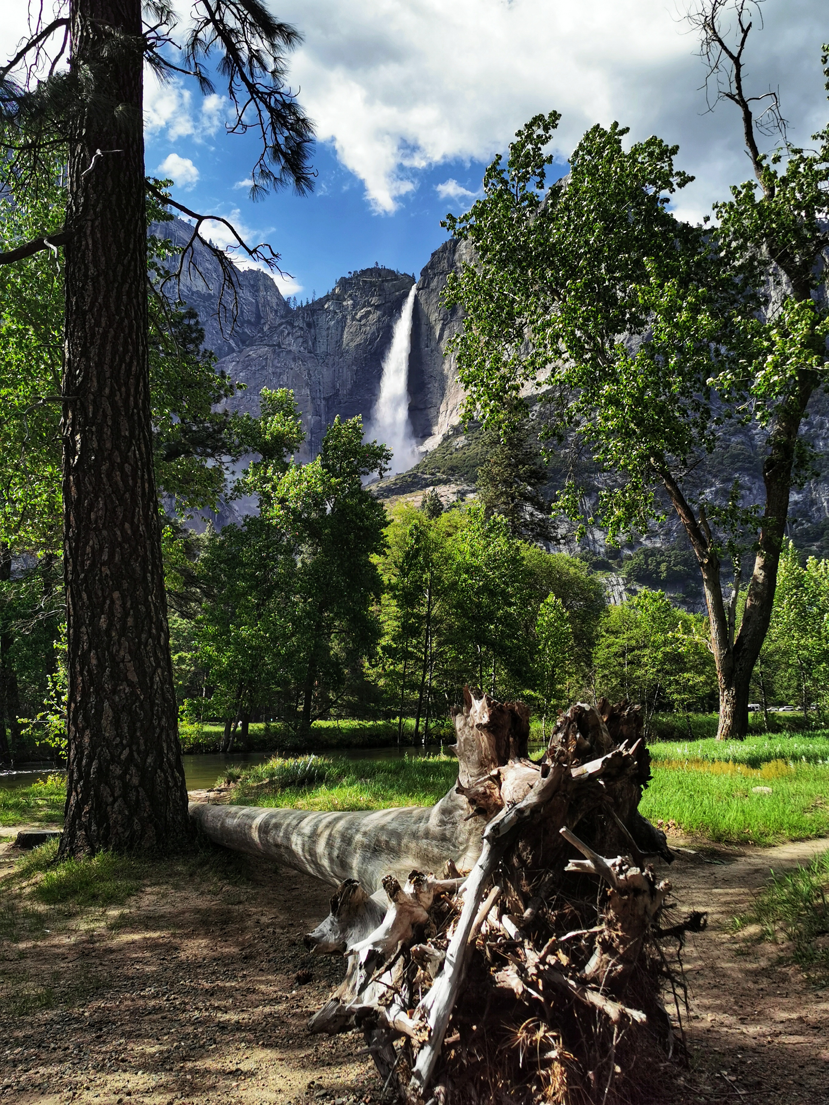 加利福尼亚优胜美地,美国旧金山优胜美地