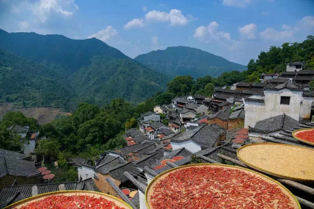 篁岭晒秋盛典,第八届篁岭晒秋文化节