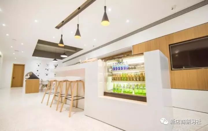 猫奴为什么越来越好,猫奴为什么越来越多