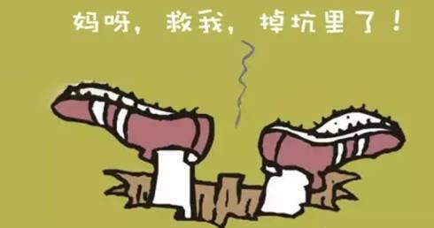 高校餐饮加盟是坑吗,餐饮加盟品牌的坑有哪些