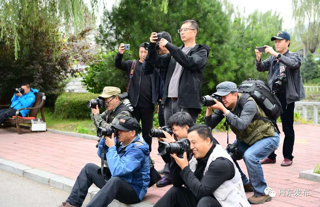 好戏连台！凤城“十节”正精彩……