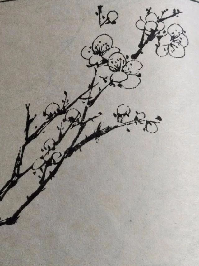 梅花该怎么画才好看,梅花用什么笔画最好看