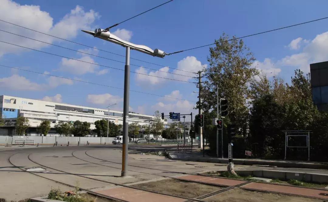 从蓉2来｜天天看见“叮叮猫”跑来跑去的，它到底在忙什么啊？