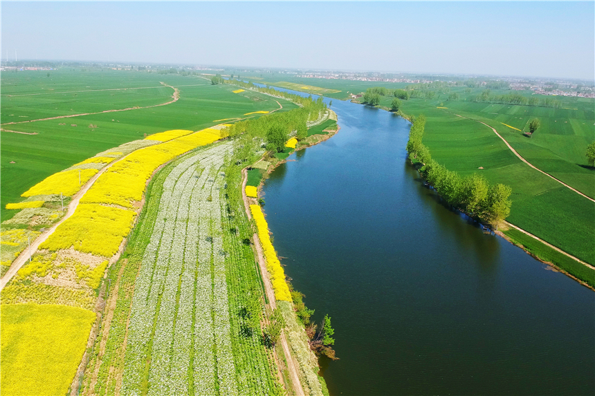 我和宿州有个约会，一场花事，一次慢旅行，探寻最烟火的宿州味道