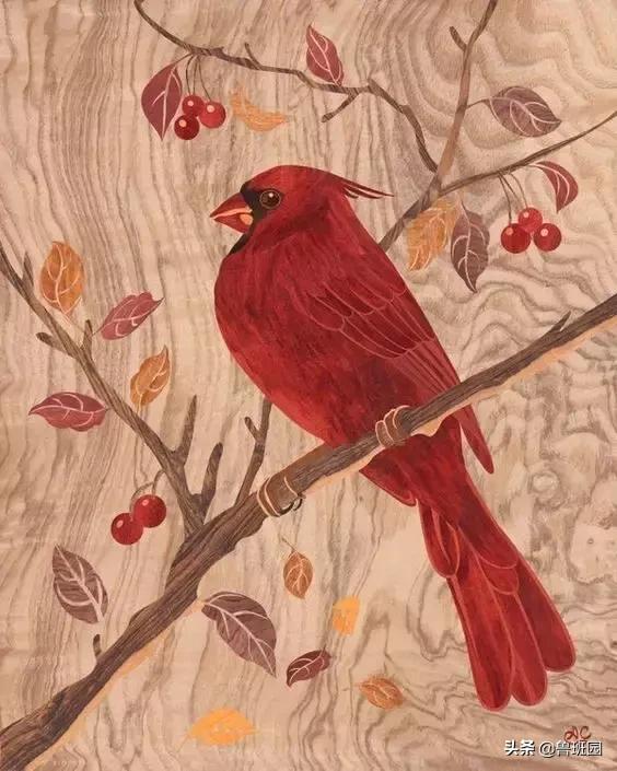 装饰材料木皮有哪些,装饰木皮有哪几种