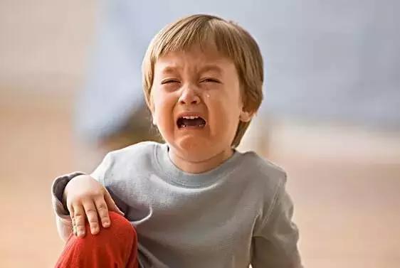 策划案例：好产品卖出高价值？助内蒙古苏尼特羊肉卖出中国最贵羊