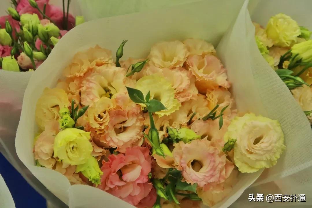 西安花市怎么买花便宜,西安最新花市