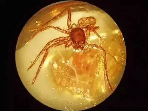 意大利琥珀蜜蜡产地,琥珀蜜蜡产地有哪些