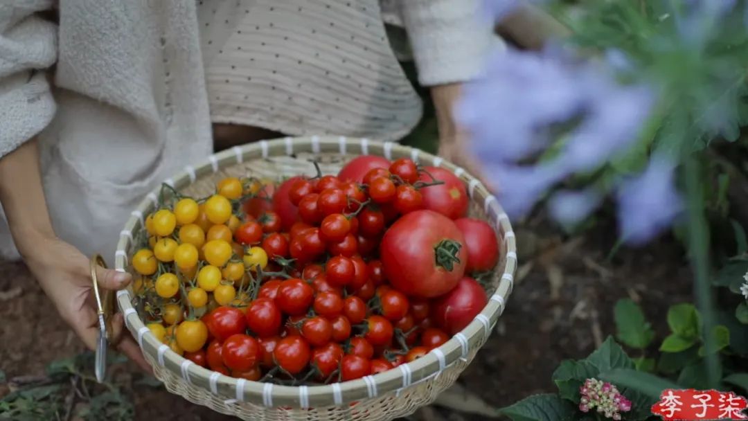 李子柒视频转场技巧,李子柒拍摄视频技巧