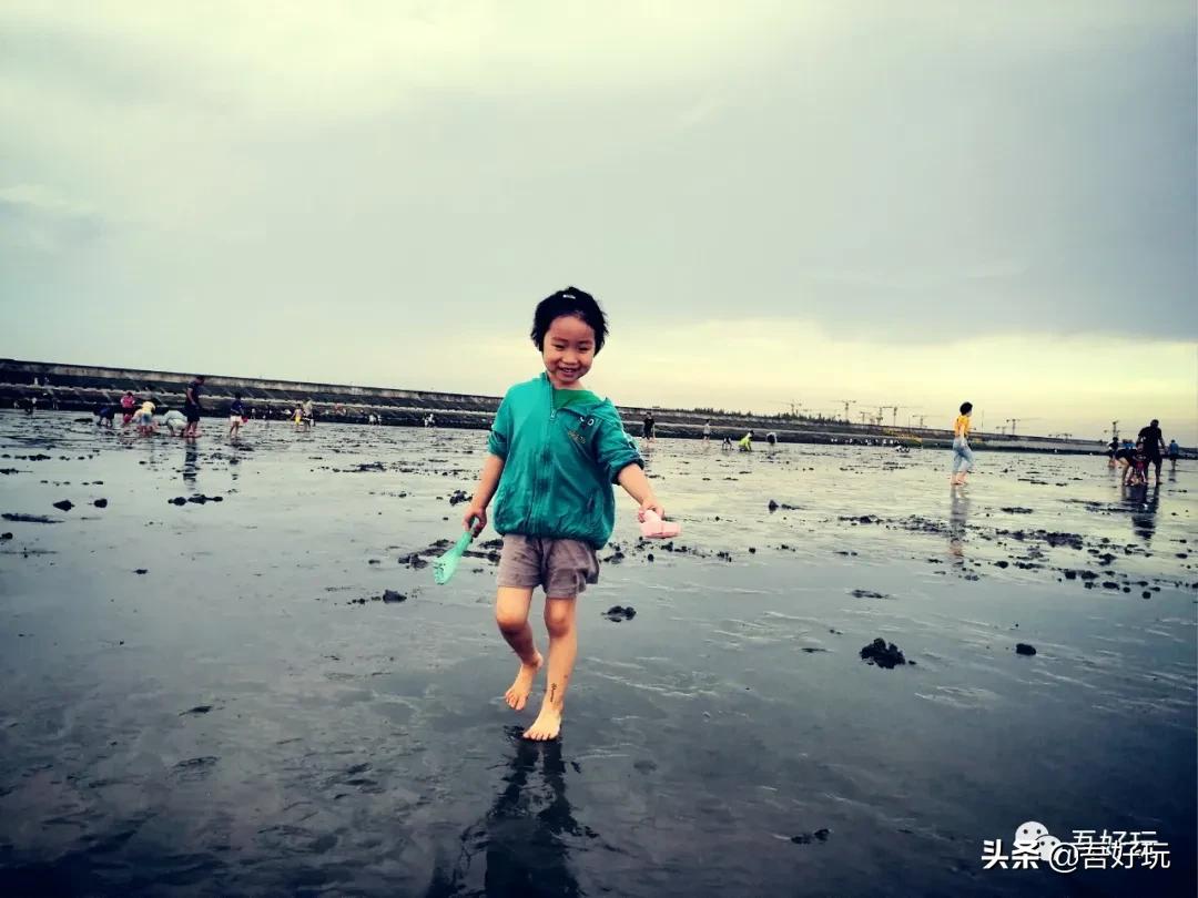 遛娃|南汇新城海滩，魔都夏日必打卡？