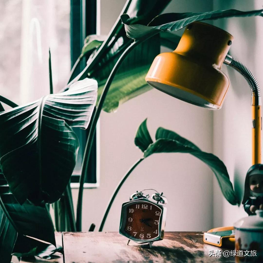 成都瓦当瓦舍酒店简介,瓦当瓦舍旅行酒店成都春熙路店