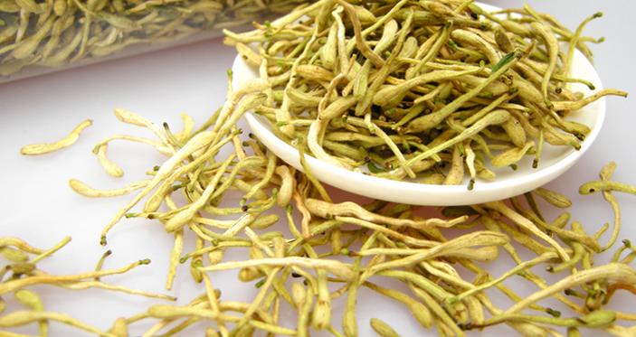 整合——28种青草药,赶快收藏备用!