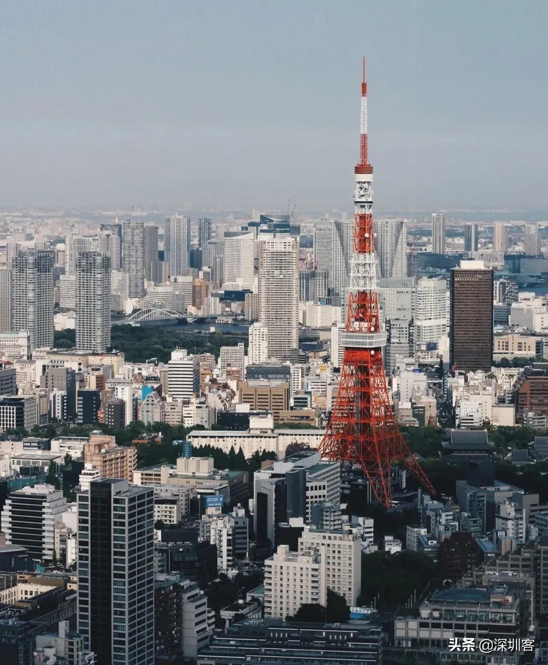 安藤忠雄的青苹果里，藏着湾区的“桃花源”