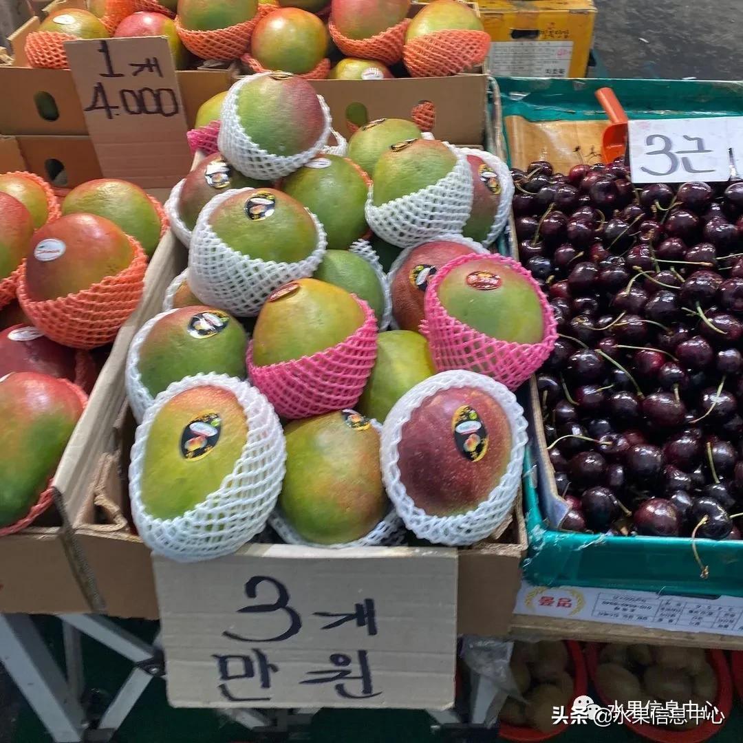 韩国的蔬菜水果批发市场,韩国最便宜的苹果水果