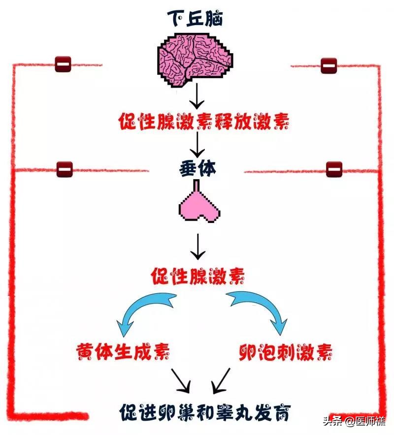 女性避孕期是例假前还是后,经期前后避孕安全吗