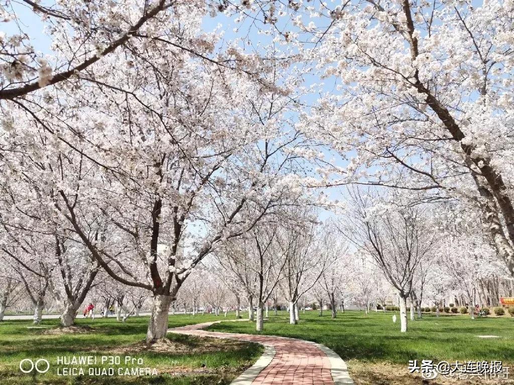 大连旅游必去景点路线推荐,大连最佳的旅游路线