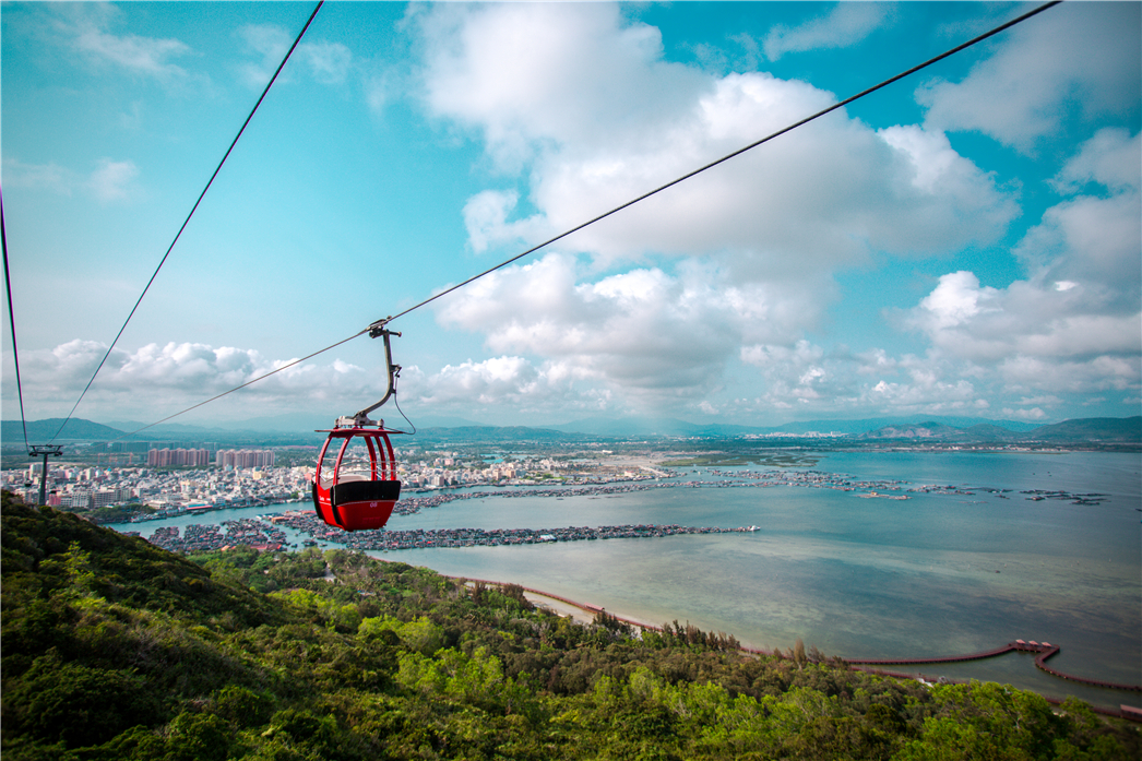 海南必玩猴岛与呆呆丨看萌呆猕猴,呆呆岛发呆