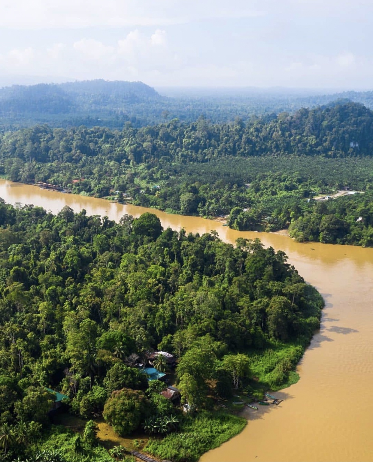世界第一湾鳄,野性婆罗洲介绍