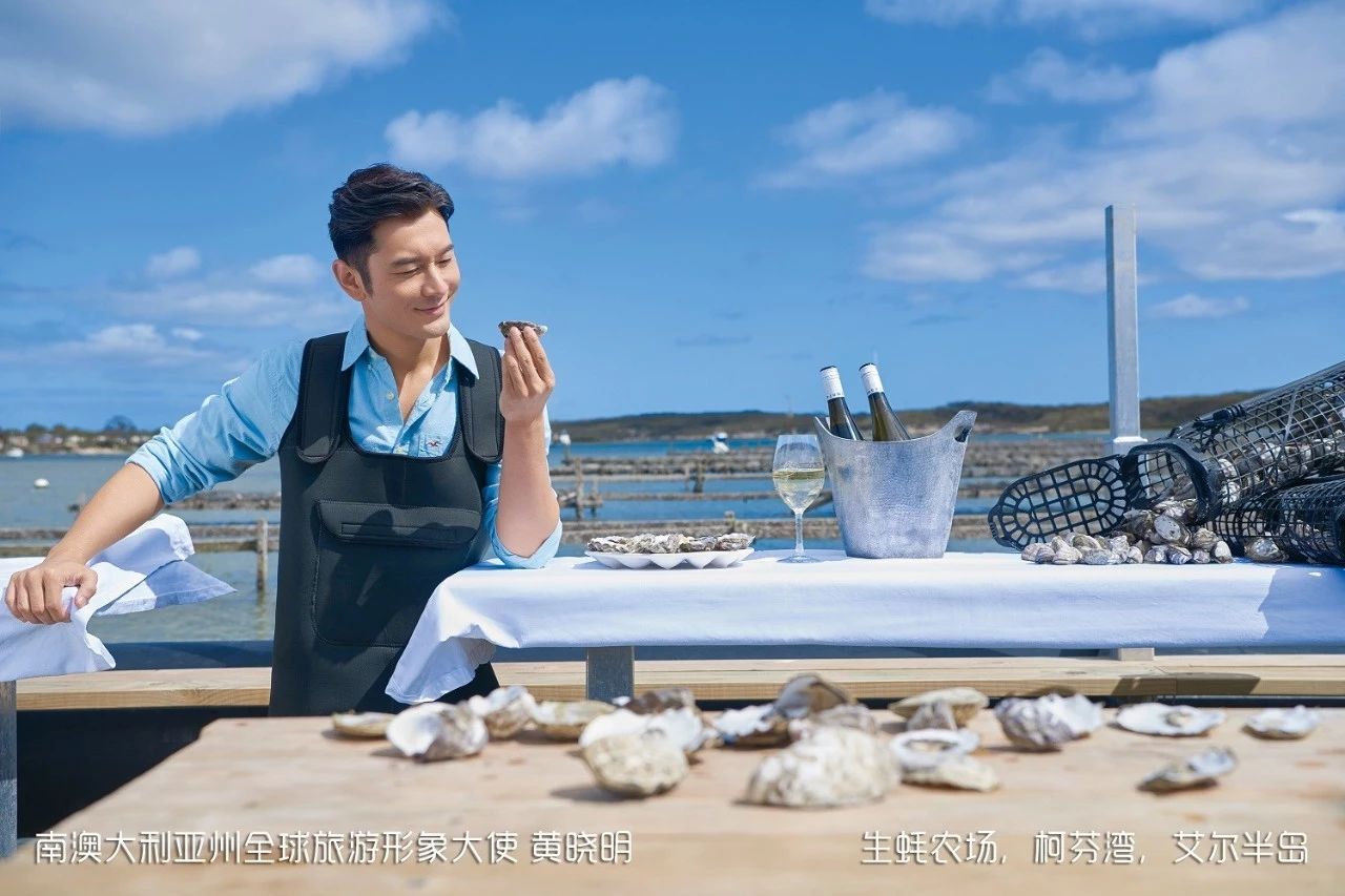 新西兰生蚝泛滥成灾,澳大利亚生蚝泛滥成灾