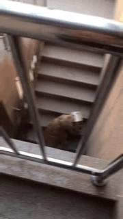 被绿结婚聊天记录截屏,闺蜜沙雕聊天记录截图