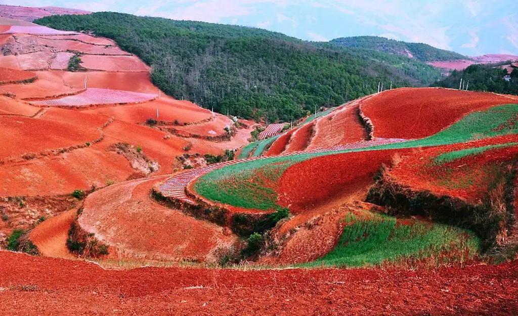 “化”中有话｜“艺术与化学”课程有感——浅谈敦煌壁画与颜料