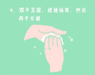 香港淘大花园怎么样,香港淘大花园是在哪里