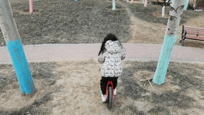 儿童平衡车推荐2-6岁怎么骑,儿童平衡车推荐2-6岁怎样骑