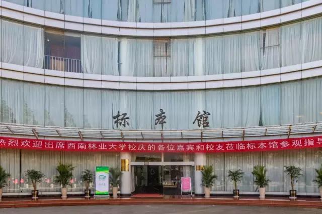 昆明最火网红打卡景点免费的,昆明最近的值得打卡的景点