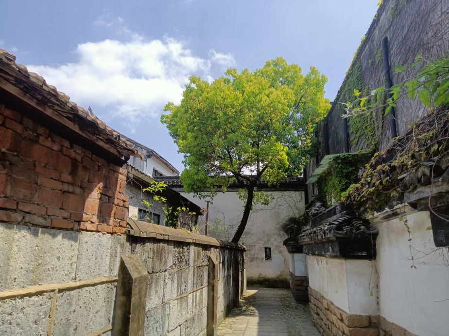 金泽古镇成善坊,上海古镇金泽桥