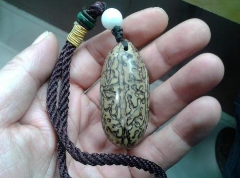 千眼菩提是怎么结的果,千眼菩提和别的菩提区别在哪