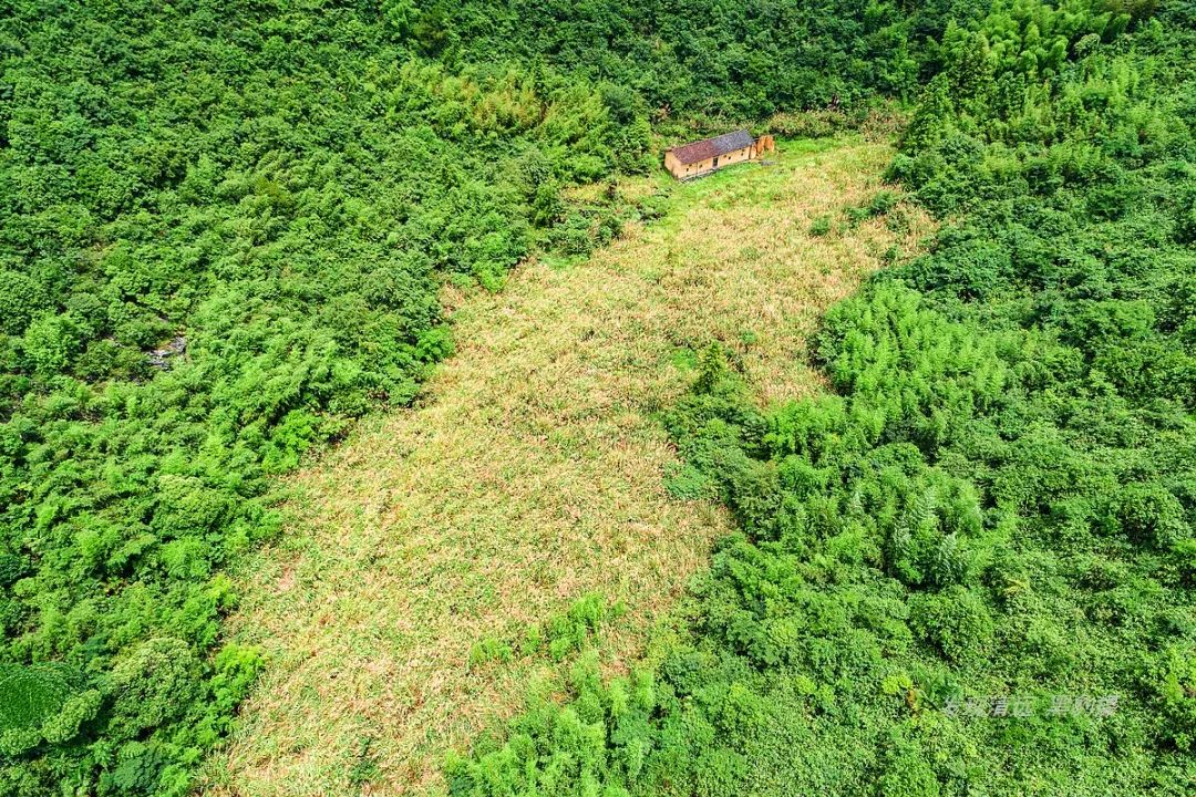 徒步穿越秦岭无人区,徒步穿越喀斯特森林