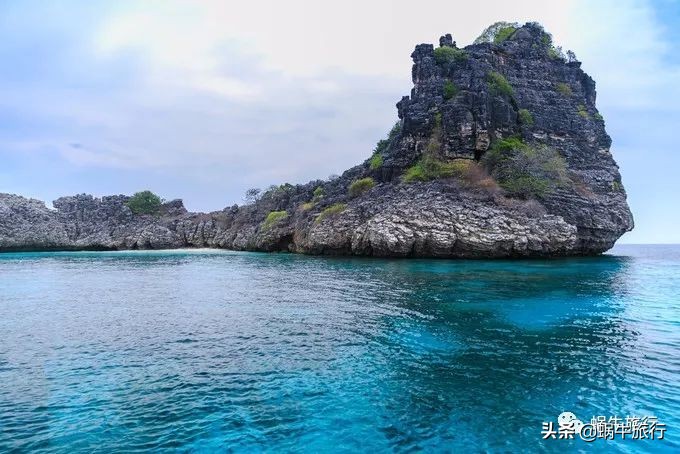 巨蜥像退休大爷休闲漫步；满海的活珊瑚、海葵…国家公园开岛啦