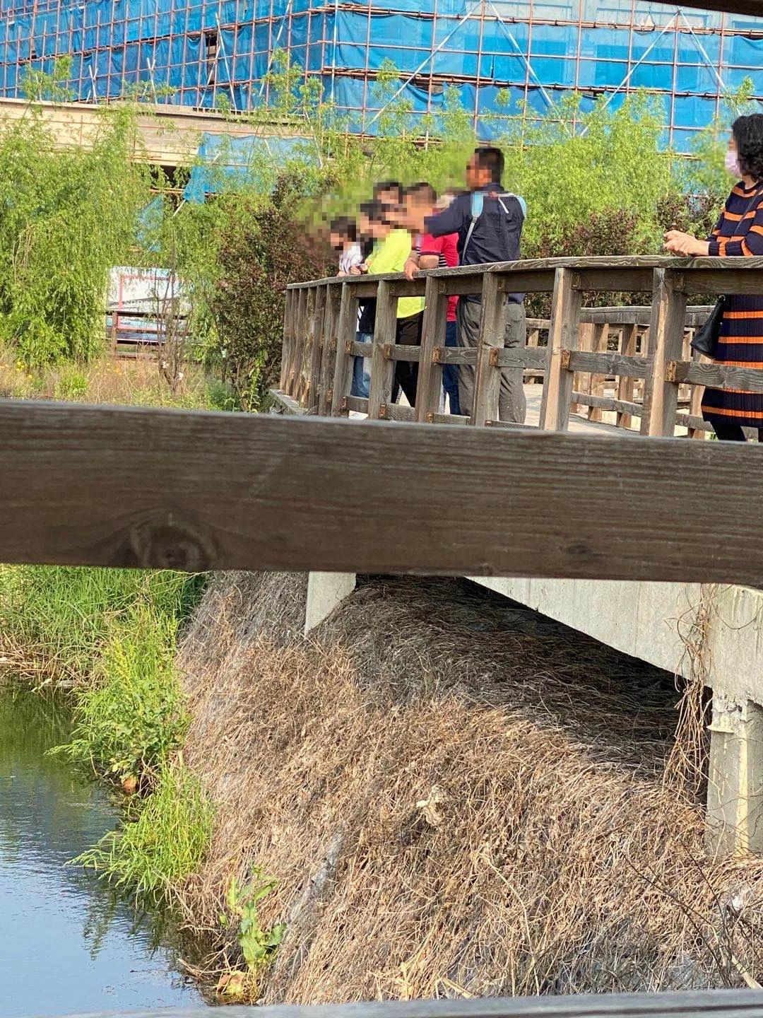 大连水库捕鱼,大连杏树屯一条渔船捕捞一条怪鱼