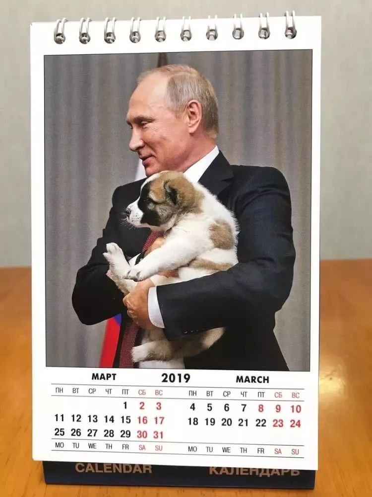 普京反腐视频完整版,2019年度普京写真日历