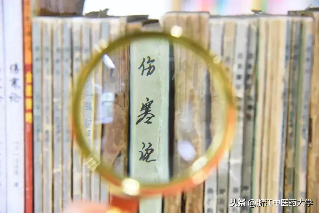 用镜头诉说中医药之美